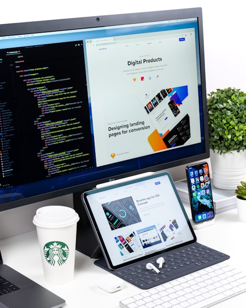 Desarrollo web profesional
